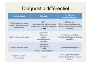 Diagnostic différentiel
Atteinte rénale Etiologie
Syndrome
clinico-biologique
Néphropathie vasculaire
aiguë et microangiopathie
thrombotique
PTT
crise rénale aiguë sclérodermique
maladies des embols de cholestérol
CAPS
HTA sévère,
Hémolyse microangiopathique,
Protéinurie et hématurie absentes
ou faibles.
Néphrite interstitielle aiguë
leptospirose
hantavirus
dengue
autres arboviroses
paludisme
Leucocyturie (cylindres),
Protéinurie et hématurie absentes
ou faibles.
Nécrose tubulaire aiguë
pneumonie
choc septique
SDRA
embolie pulmonaire grave
Syndrome urinaire pauvre
Insuffisance rénale
fonctionnelle
OAP
Pas de syndrome urinaire,
fraction d’excrétion du sodium
diminuée
 