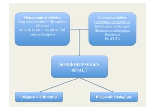 Hémorragie alvéolaire
Opacités alvéolaires + Hémoptysie
LBA rosé
Score de Golde > 100 (délai 72h)
Anémie Ferriprive
Glomérulonéphrite
rapidement progressive
Insuffisance rénale aiguë
Hématurie microscopique
Protéinurie
Pas d’HTA
SYNDROME PNEUMO-
RÉNAL ?
Diagnostic différentiel Diagnostic étiologique
 