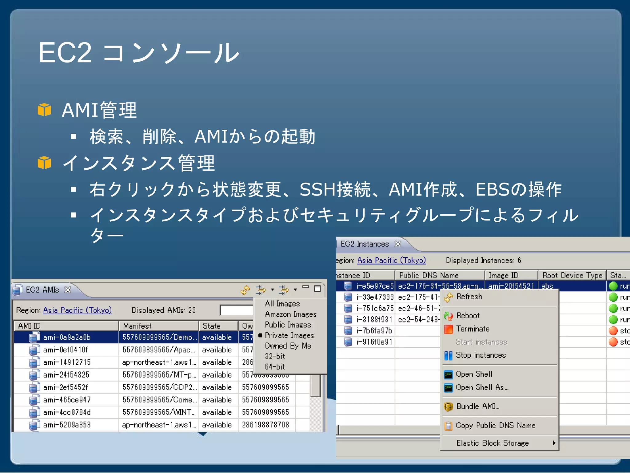 EC2 コンソール
 AMI管理
  検索、削除、AMIからの起動
 インスタンス管理
  右クリックから状態変更、SSH接続、AMI作成、EBSの操作
  インスタンスタイプおよびセキュリティグループによるフィル
   ター
 