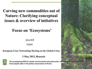 2012 05 european crossnetworking mtg financialisation of nature