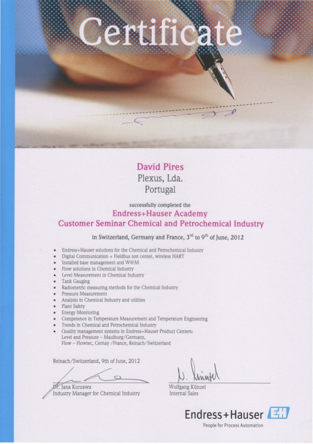 Customer Seminar Chemical And Petrochemical Industry Endress Hauser