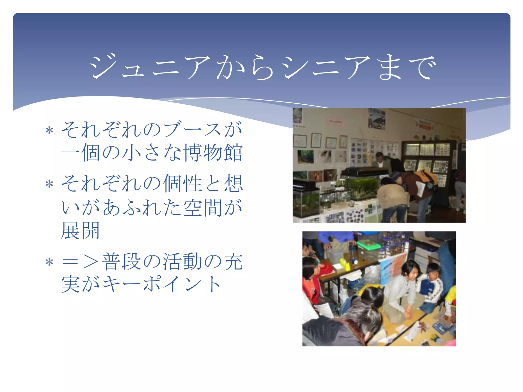 ジュニアからシニアまで
それぞれのブースが
一個の小さな博物館
それぞれの個性と想
いがあふれた空間が
展開
＝＞普段の活動の充
実がキーポイント
 