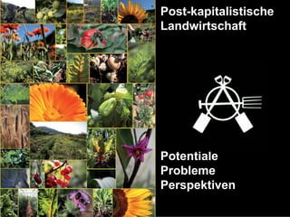 Post-kapitalistische
Landwirtschaft




Potentiale
Probleme
Perspektiven
 