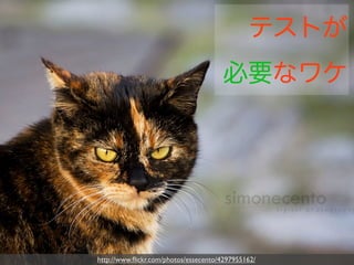 テストが
                                      必要なワケ




http://www.ﬂickr.com/photos/essecento/4297955162/
 