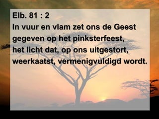 Elb. 81 : 2
In vuur en vlam zet ons de Geest
gegeven op het pinksterfeest,
het licht dat, op ons uitgestort,
weerkaatst, vermenigvuldigd wordt.
 
