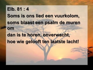 Elb. 81 : 4
Soms is ons lied een vuurkolom,
soms blaast een psalm de muren
om
dan is te horen, onverwacht,
hoe wie gelooft ten laatste lacht!
 