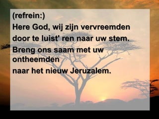 (refrein:)
Here God, wij zijn vervreemden
door te luist' ren naar uw stem.
Breng ons saam met uw
ontheemden
naar het nieuw Jeruzalem.
 