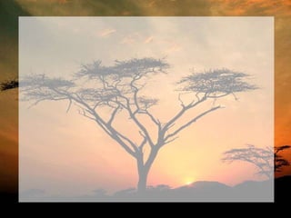 Dobberen op het water