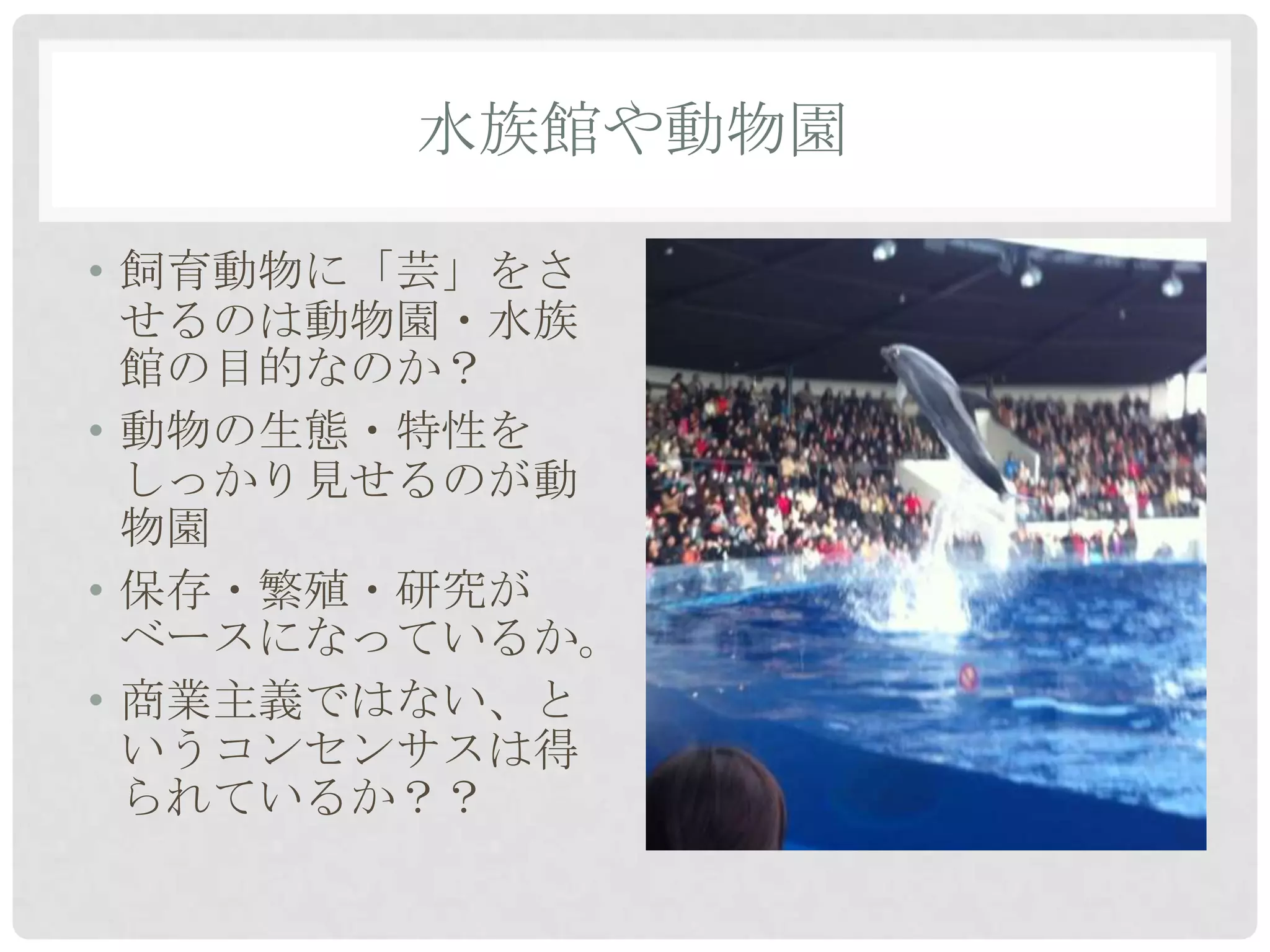 水族館や動物園

• 飼育動物に「芸」をさ
  せるのは動物園・水族
  館の目的なのか？
• 動物の生態・特性を
  しっかり見せるのが動
  物園
• 保存・繁殖・研究が
  ベースになっているか。
• 商業主義ではない、と
  いうコンセンサスは得
  られているか？？
 