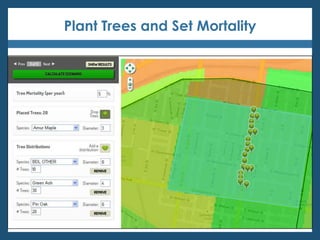 Plant Trees and Set Mortality
 