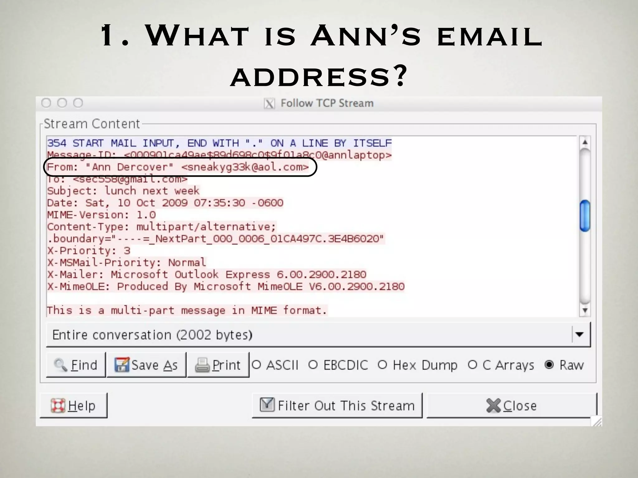 1. What is Ann’s email
      address?
 