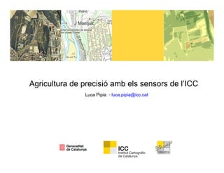 Agricultura de precisió amb els sensors de l’ICC
               Luca Pipia - luca.pipia@icc.cat
 
