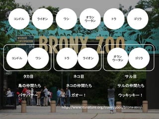 オラン
コンドル         ライオン    ワシ                          トラ           ゴリラ
                                 ウータン




                                                 オラン
コンドル         ワシ      トラ         ライオン                           ゴリラ
                                                 ウータン




       タカ目                ネコ目                            サル目

  鳥の仲間たち              ネコの仲間たち                         サルの仲間たち

  バサバサ～                   ガオー！                        ウッキッキー！

                    http://www.itsnature.org/travel/zoos/bronx-zoo/
 