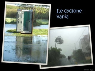 Le cyclone
vania




             © Photo O. Peyre
 