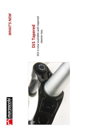 WHAT’S NEW




      DJ1 Tapered
DJ1 is now available with tapered
           steerer too.
 