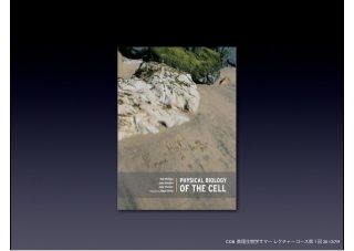 CDB 数理生物学サマーレクチャーコース第１回 2012/7/9
 