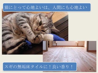 猫にとって心地よいは、人間にも心地よい




スギの無垢床タイルに！良い香り！
 