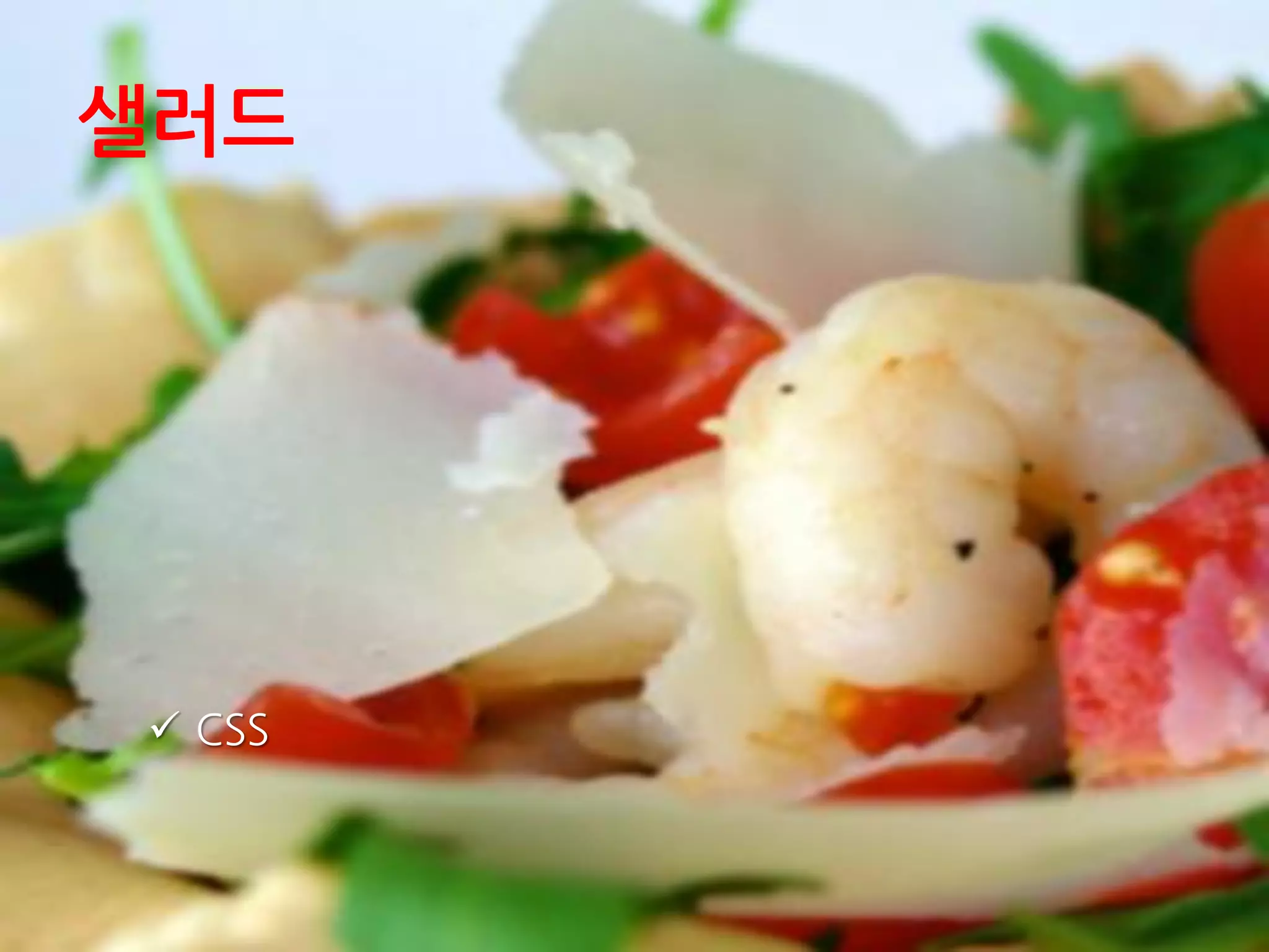 샐러드
 CSS
 