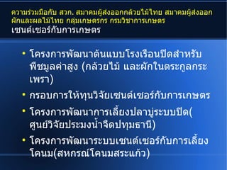 ความร่วมมือกับ สวก. สมาคมผู้ส่งออกกล้วยไม้ไทย สมาคมผู้ส่งออก
ผักและผลไม้ไทย กลุ่มเกษตรกร กรมวิชาการเกษตร
เซนต์เซอร์กับการเกษตร

   
       โครงการพัฒนาต้นแบบโรงเรือนปิดสำาหรับ
       พืชมูลค่าสูง (กล้วยไม้ และผักในตระกูลกระ
       เพรา)
   
       กรอบการให้ทุนวิจัยเซนต์เซอร์กับการเกษตร
   
       โครงการพัฒนาการเลี้ยงปลาบู่ระบบปิด(
       ศูนย์วจัยประมงนำ้าจืดปทุมธานี)
             ิ
   
       โครงการพัฒนาระบบเซนต์เซอร์กับการเลี้ยง
       โคนม(สหกรณ์โคนมสระแก้ว)
 