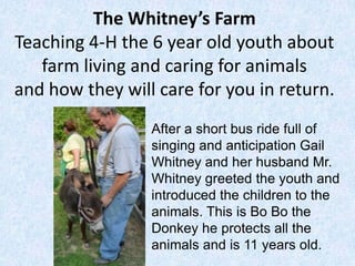 The Whitney’s Farm
Teaching 4-H the 6 year old youth about
   farm living and caring for animals
and how they will care for you in return.
                 After a short bus ride full of
                 singing and anticipation Gail
                 Whitney and her husband Mr.
                 Whitney greeted the youth and
                 introduced the children to the
                 animals. This is Bo Bo the
                 Donkey he protects all the
                 animals and is 11 years old.
 