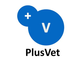 PlusVet
 