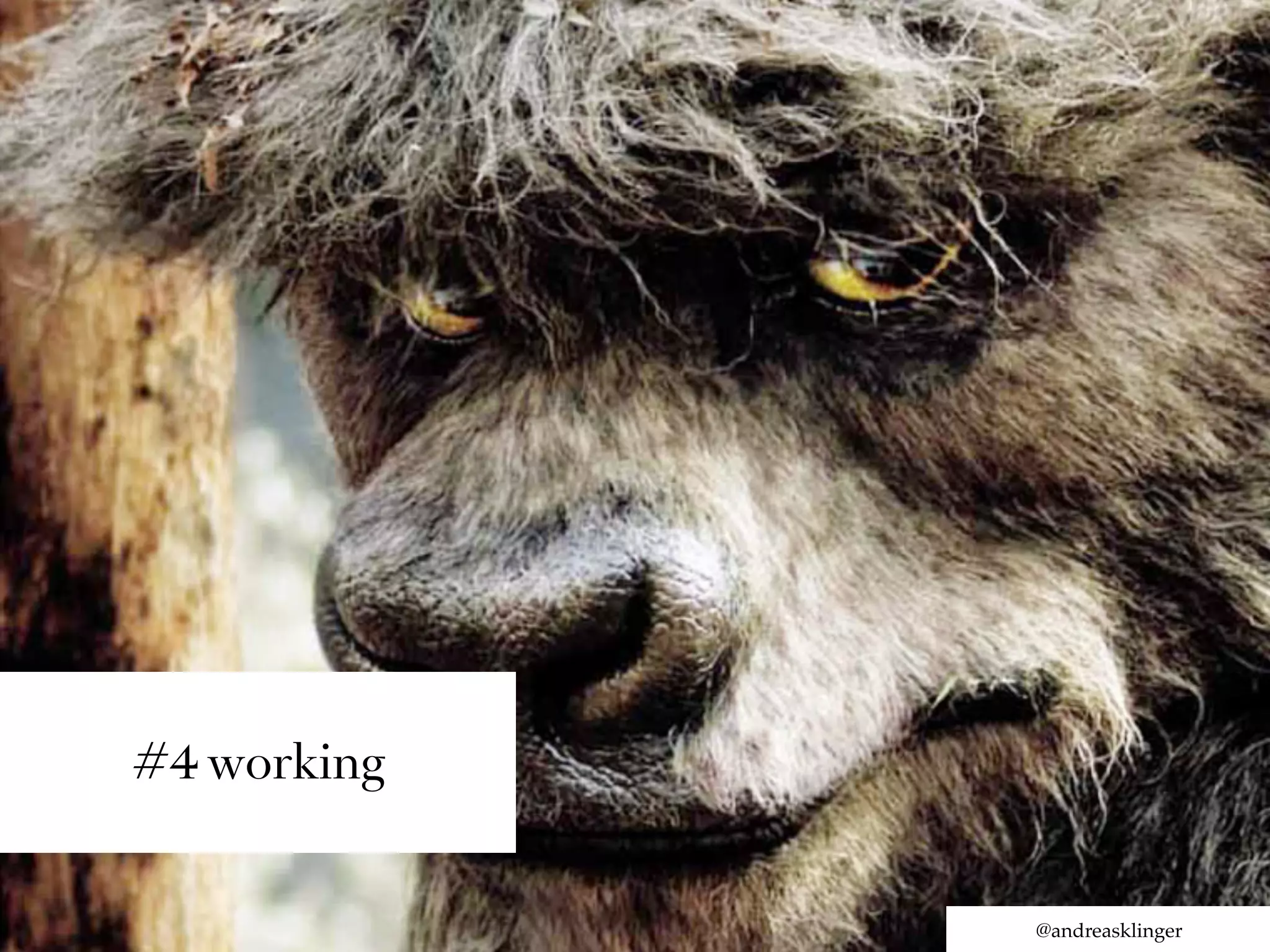 #4 working


             @andreasklinger
 