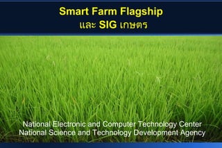 Smart Farm Flagship
             และ SIG เกษตร




 National Electronic and Computer Technology Center
National Science and Technology Development Agency
 