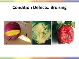 Produce Safety - Produce Quality and Condition | PPTX