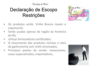 Declaração de Escopo
          Restrições
•   Os produtos serão: Vinho Branco Jovem e
    espumante;
•   Serão usadas apenas da região da fronteira
    do RS;
•   Utilizar fornecedores certificados;
•   O lançamento dos produtos revistas e sites
    de gastronomia com chefs renomados;
•   Principais pontos de venda: restaurantes,
    casas especializadas, importadores.
 