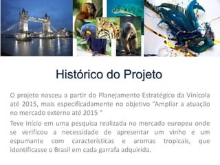 Histórico do Projeto
O projeto nasceu a partir do Planejamento Estratégico da Vinícola
até 2015, mais especificadamente no objetivo “Ampliar a atuação
no mercado externo até 2015 “
Teve início em uma pesquisa realizada no mercado europeu onde
se verificou a necessidade de apresentar um vinho e um
espumante com características e aromas tropicais, que
identificasse o Brasil em cada garrafa adquirida.
 