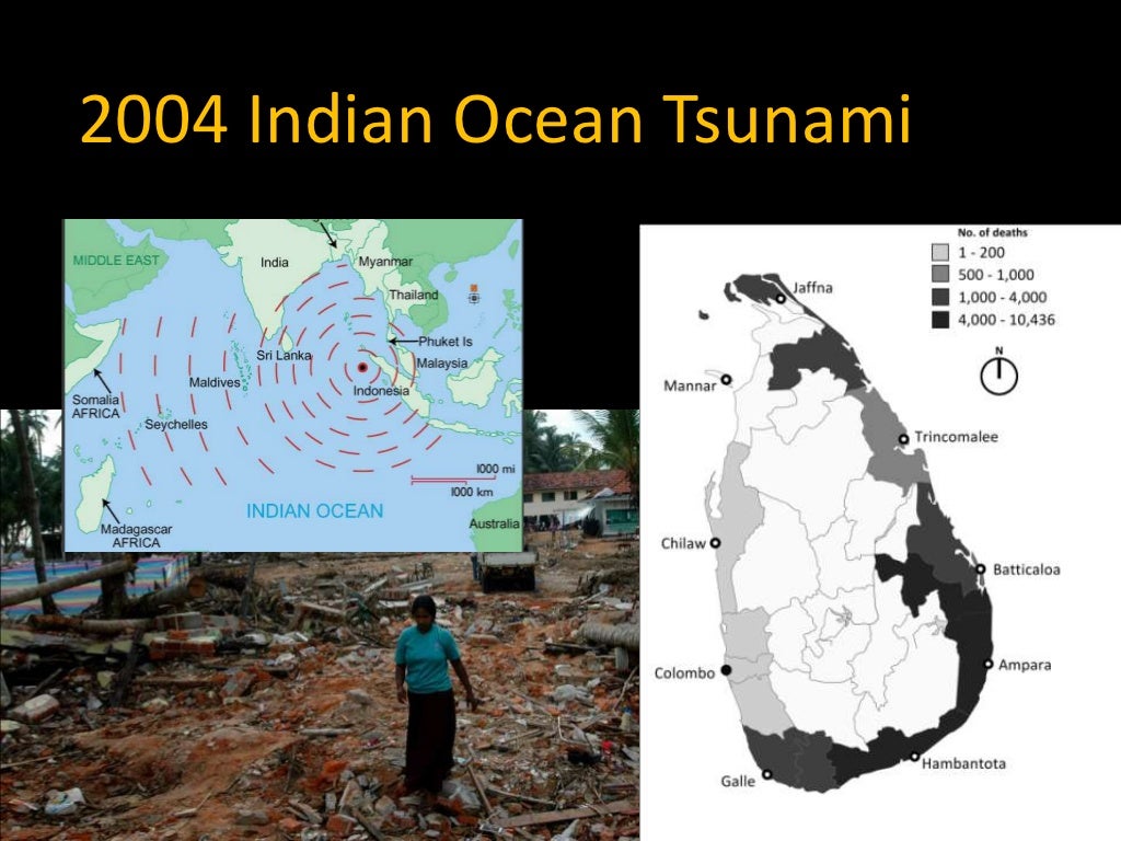 case study of tsunami wikipedia