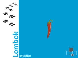 Lombok




     en action
 