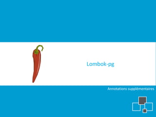 Lombok-pg


      Annotations supplémentaires
 