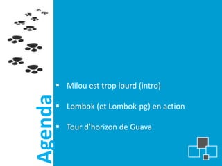  Milou est trop lourd (intro)
Agenda

      Lombok (et Lombok-pg) en action

      Tour d’horizon de Guava
 