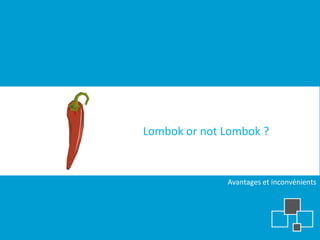 Lombok or not Lombok ?


              Avantages et inconvénients
 