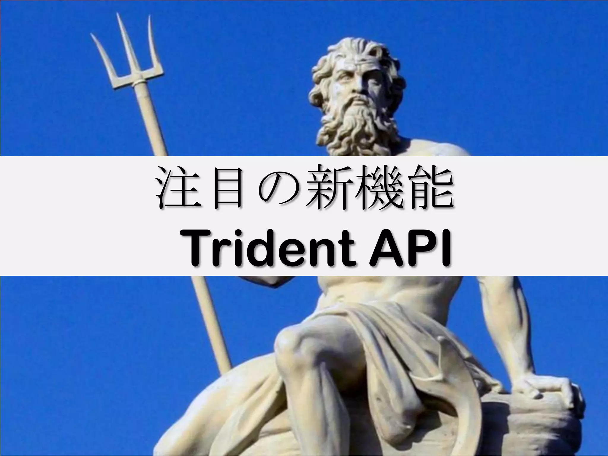 注目の新機能
Trident API
 
