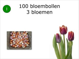 100 bloembollen
1
      3 bloemen
 
