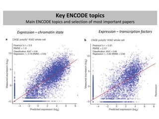 ENCODE project: brief summary of main findings | PPTX