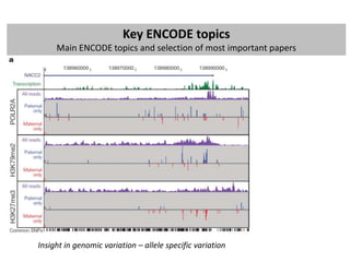 ENCODE project: brief summary of main findings | PPTX