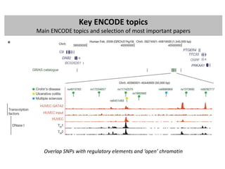 ENCODE project: brief summary of main findings | PPTX