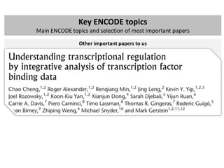 ENCODE project: brief summary of main findings | PPTX