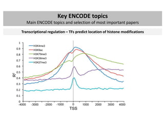ENCODE project: brief summary of main findings | PPTX