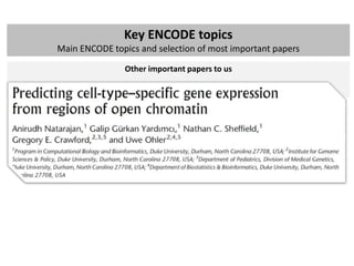 ENCODE project: brief summary of main findings | PPTX
