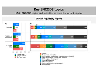 ENCODE project: brief summary of main findings | PPTX
