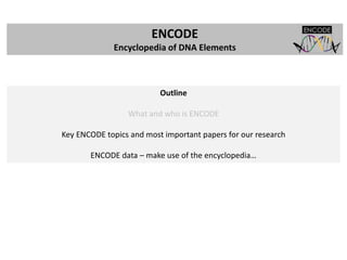ENCODE project: brief summary of main findings | PPTX