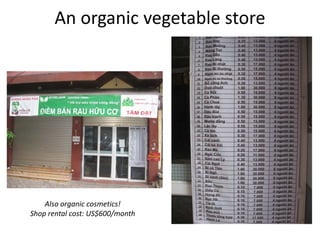 Organic Vegetable Business in Vietnam: Entrepreneurial Finance & Creative Marketing