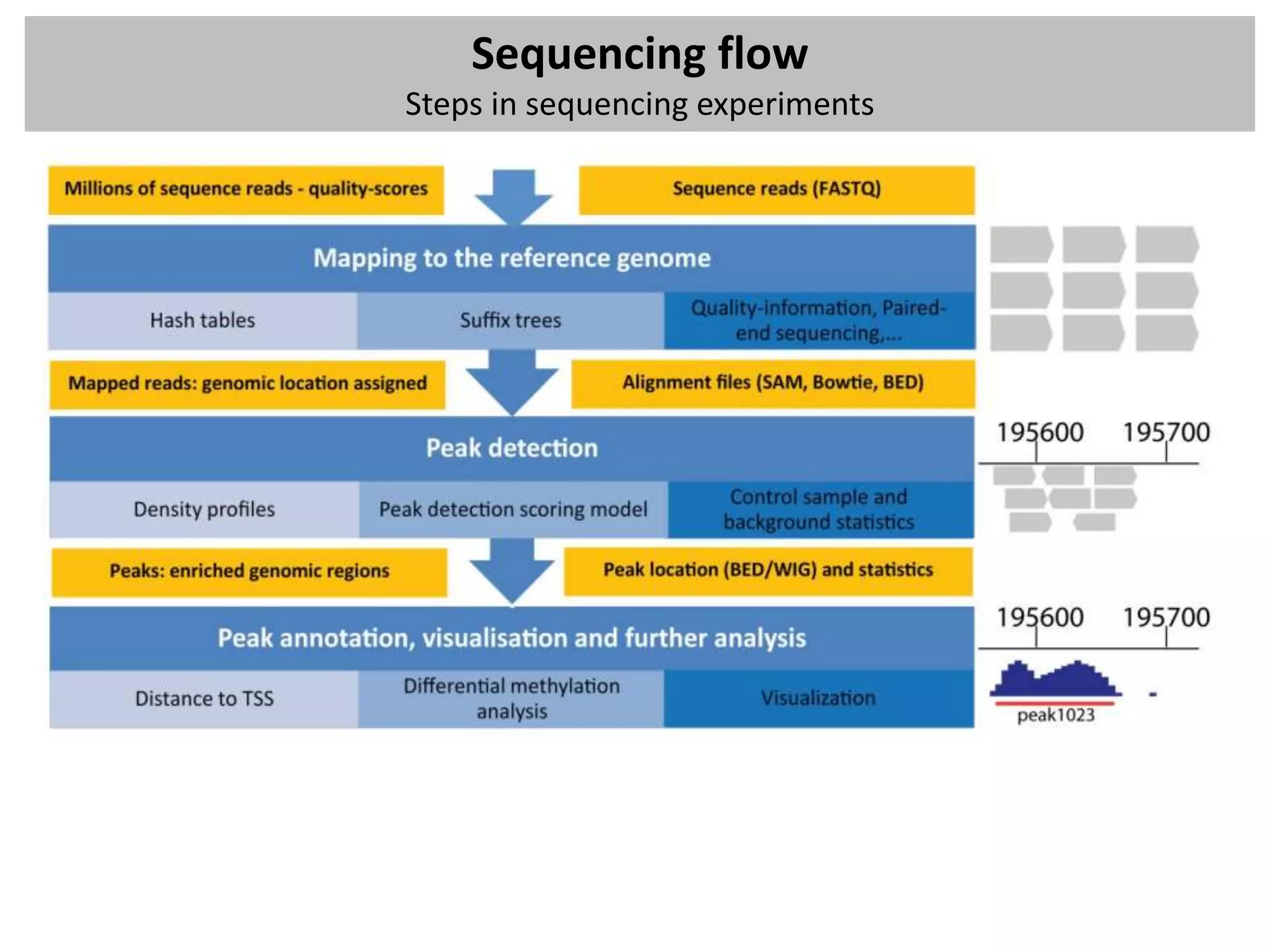 Sequencing flow
Steps in sequencing experiments
 