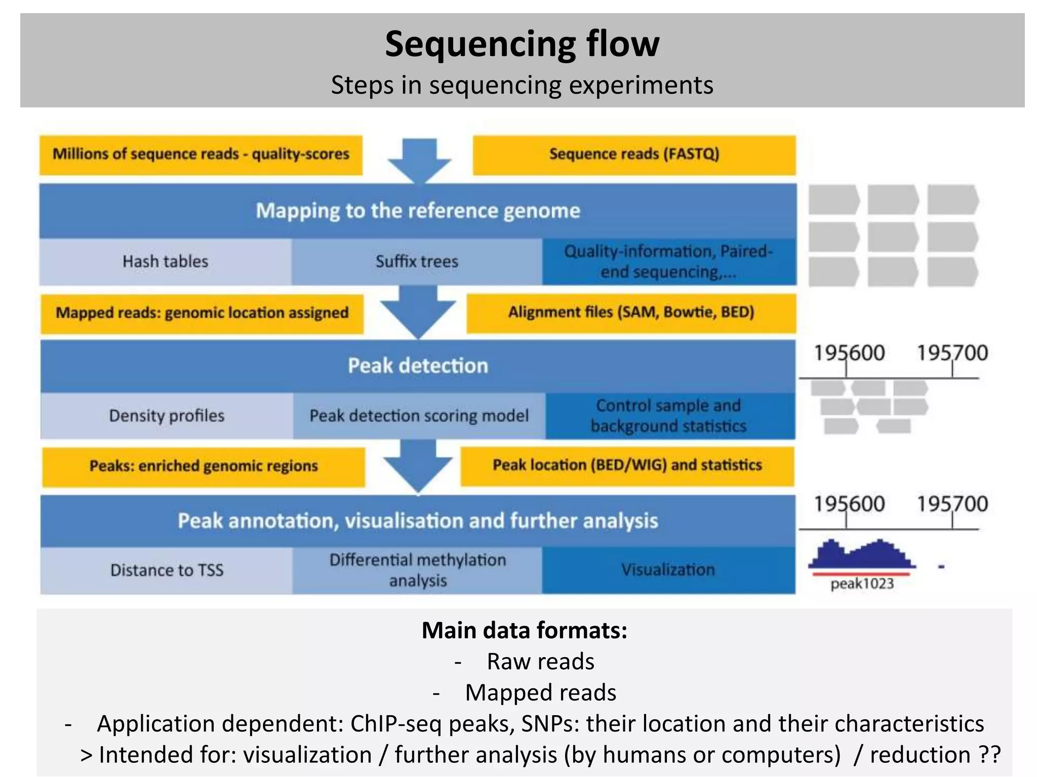 Sequencing flow
                         Steps in sequencing experiments




                                    Main data formats:
                                       - Raw reads
                                     - Mapped reads
- Application dependent: ChIP-seq peaks, SNPs: their location and their characteristics
 > Intended for: visualization / further analysis (by humans or computers) / reduction ??
 