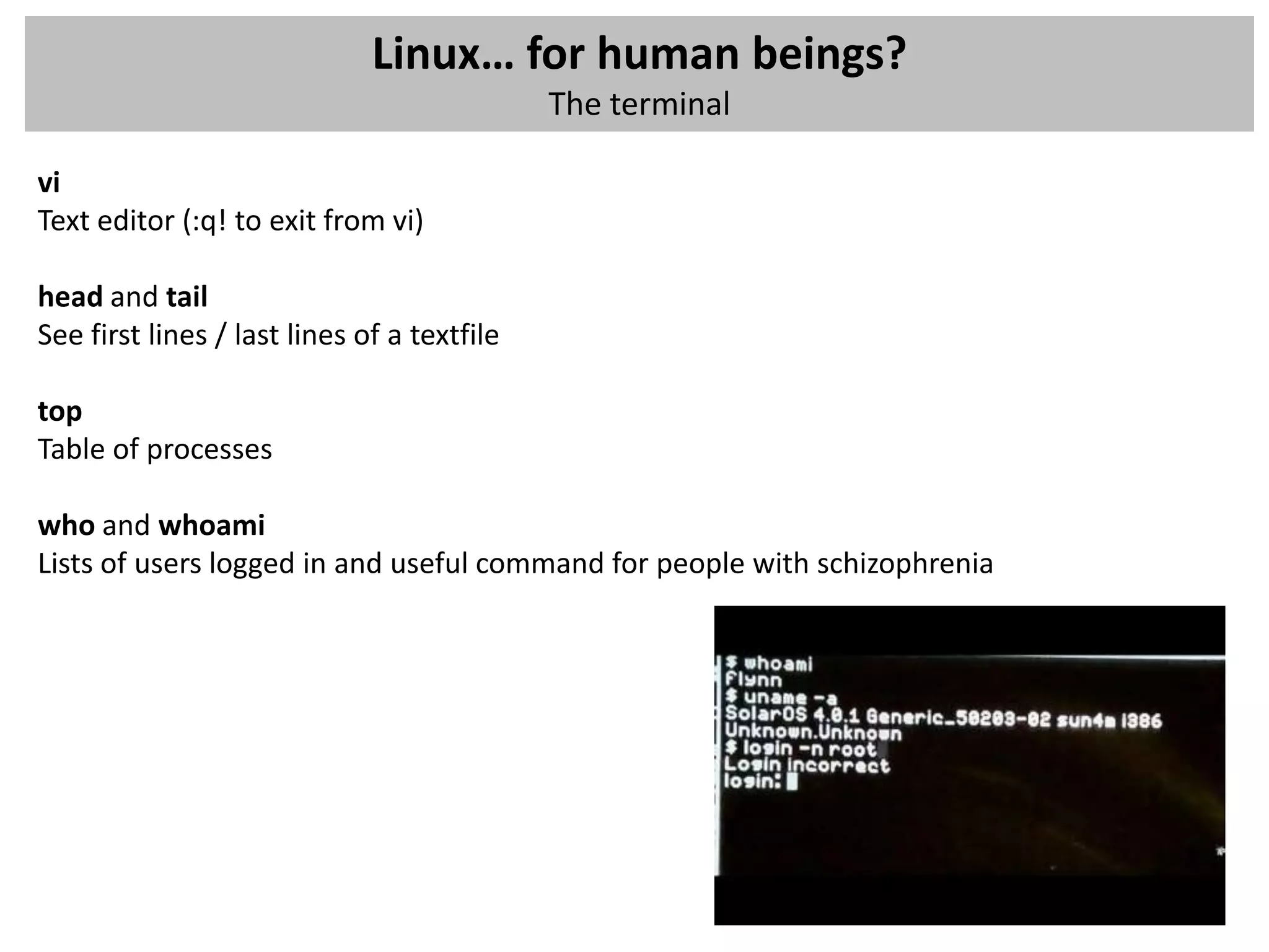 Linux… for human beings?
                                             The terminal

vi
Text editor (:q! to exit from vi)

head and tail
See first lines / last lines of a textfile

top
Table of processes

who and whoami
Lists of users logged in and useful command for people with schizophrenia
 