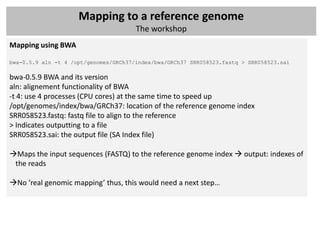Mapping to a reference genome
                                       The workshop
Mapping using BWA

bwa-0.5.9 aln -t 4 /opt/genomes/GRCh37/index/bwa/GRCh37 SRR058523.fastq > SRR058523.sai

bwa-0.5.9 BWA and its version
aln: alignement functionality of BWA
-t 4: use 4 processes (CPU cores) at the same time to speed up
/opt/genomes/index/bwa/GRCh37: location of the reference genome index
SRR058523.fastq: fastq file to align to the reference
> Indicates outputting to a file
SRR058523.sai: the output file (SA Index file)

Maps the input sequences (FASTQ) to the reference genome index  output: indexes of
 the reads

No ‘real genomic mapping’ thus, this would need a next step…
 